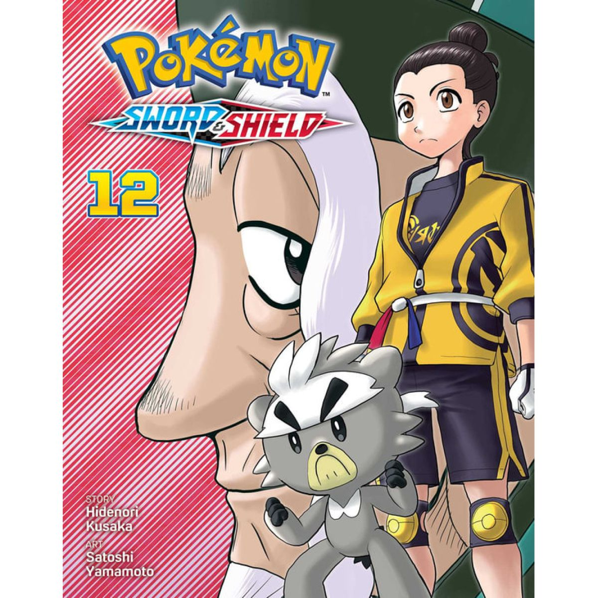 Pokemon: Sword & Shield Vol. 12